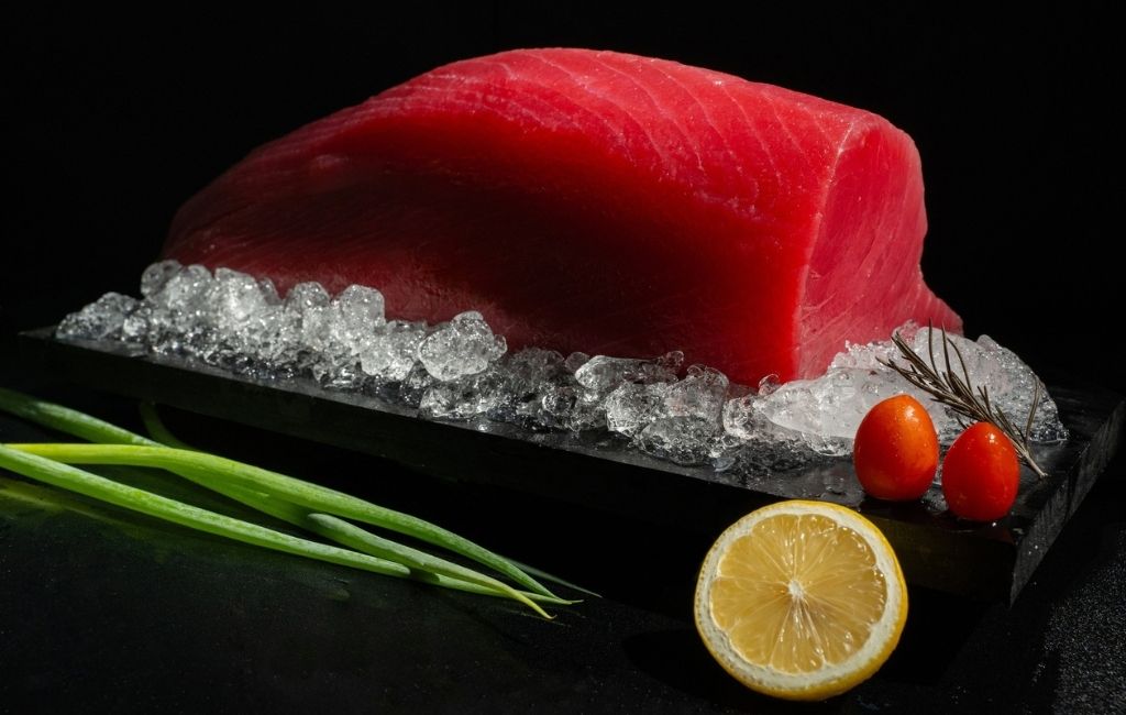 png catalog lumbung ikan